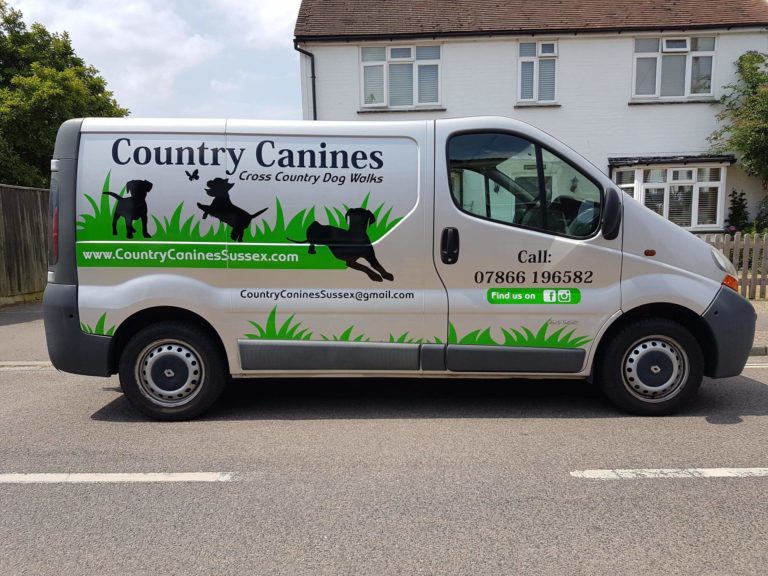 Custom Van Graphics Sussex | Vehicle Branding | SL2 Signs